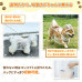 犬用レインコート 反射キーホルダー付　ペット用カッパ ポンチョタイプ 【高防水・透明フード】小型犬 中型犬 大型犬対応 柴犬対応 リード穴付き 着脱簡単 風よけ・梅雨対策