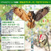 鳥よけグッズ 鳥避け 鳩よけ ベランダ 鷹 たか フクロウ カラス撃退 カラスよけ ハト対策 スズメ・ツバメ 猫避け つばめ 屋外 果樹園 農作物 農園向け 鳥よけテープ 鈴付き 鳥よけグッズ 鳥避け 鳩よけ ベランダ 鷹 たか フクロウ カラス撃退 カラスよけ ハト対策 スズメ・ツバメ 猫避け つばめ 屋外 果樹園 農作物 農園向け 鳥よけテープ 鈴付き