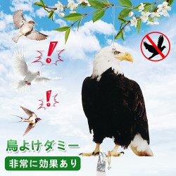 【雑誌掲載】鳥避けグッズ 鳩よけ 鷹 フクロウ カラス撃退 ハト対策 スズメ・ツバメ 猫避け つばめ 屋外 ベランダ 果樹園 農作物 農園向け